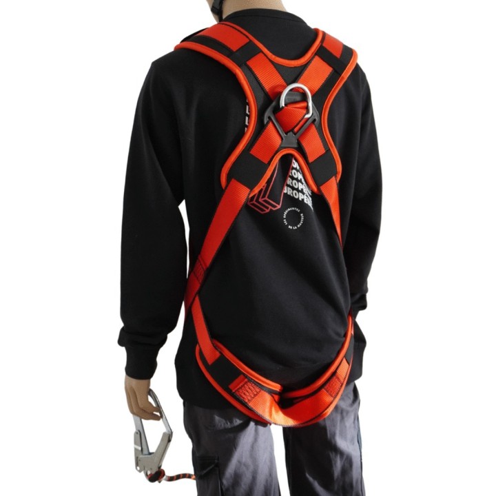 SPEED LITE | L'Echelle Europeenne