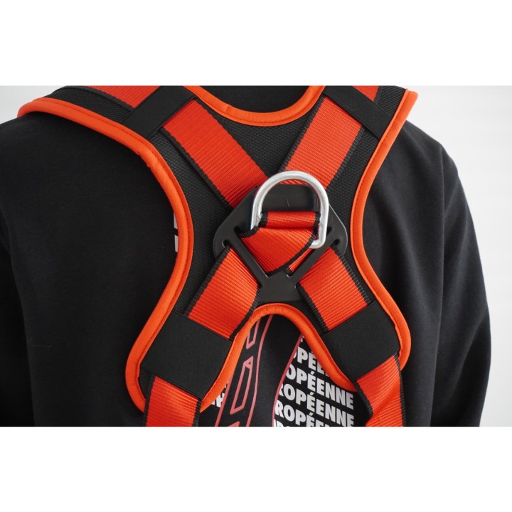 Point d'ancrage dorsal