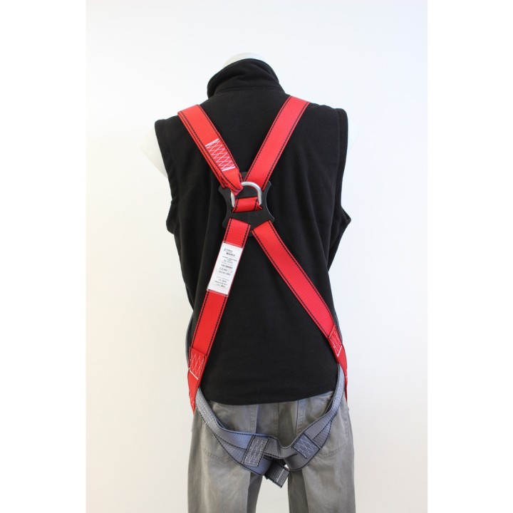 MAXEE | L'Echelle Europeenne