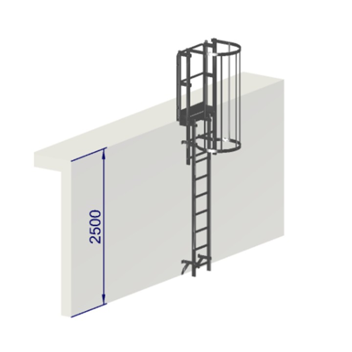 Escalera escalera con protección dorsal de 2500 mm de altura con aros