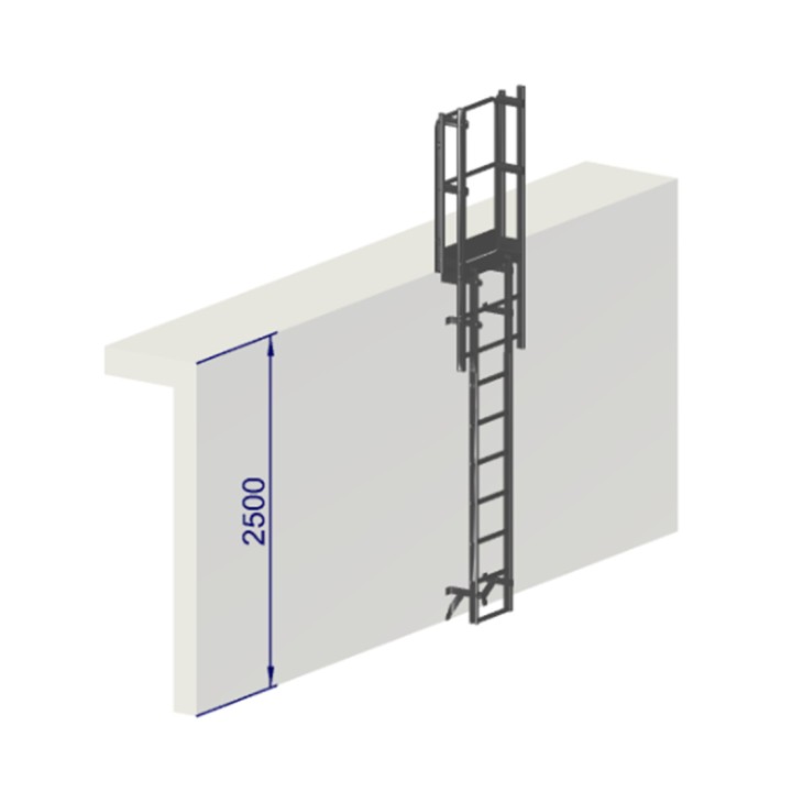 Escalera con protección dorsal - altura 2500 mm sin aros de protección EN ISO 14122-4