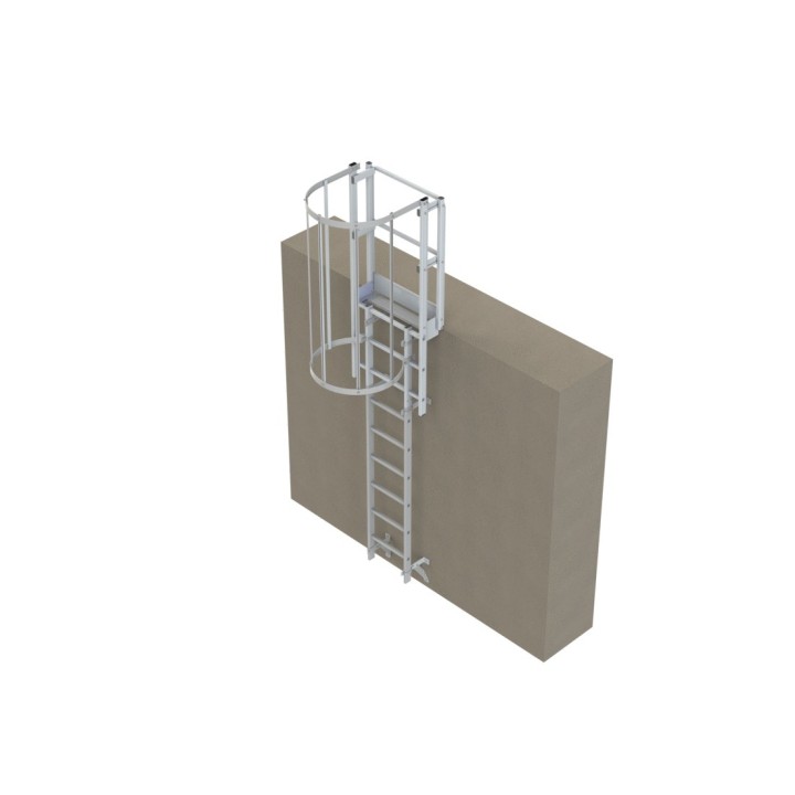 Escalera escalera con protección dorsal de 2500 mm de altura con aros