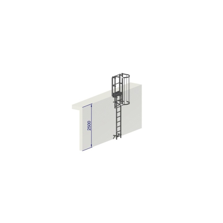 Escalera de crinolina, altura 2500 mm con aros