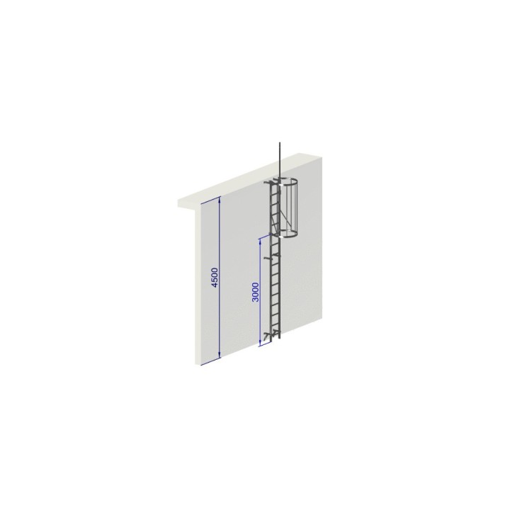 Échelle à crinoline hauteur 4500 mm avec crosse de sortie escamotable NF E85-016 | L'Echelle Européenne