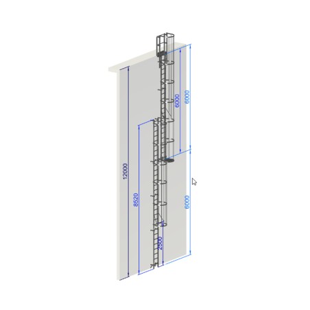 Échelle à crinoline hauteur 12 000 mm EN ISO 14122-4