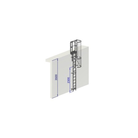 Escalera con protección dorsal de 5000 mm