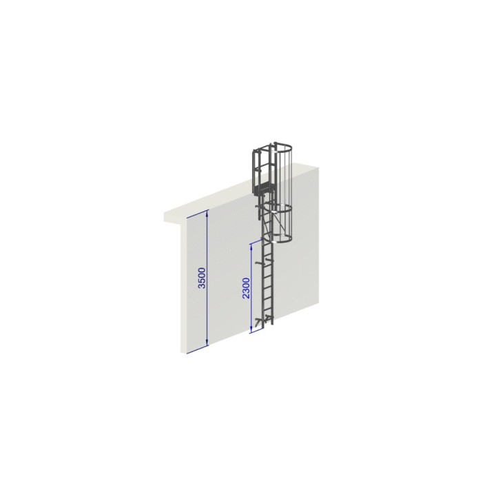 Escalera con protección dorsal de 5000 mm