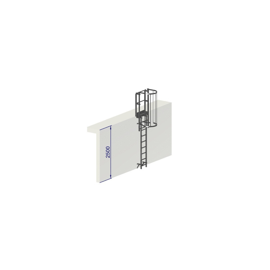 Escalera de crinolina de 2500 mm de altura con arcos