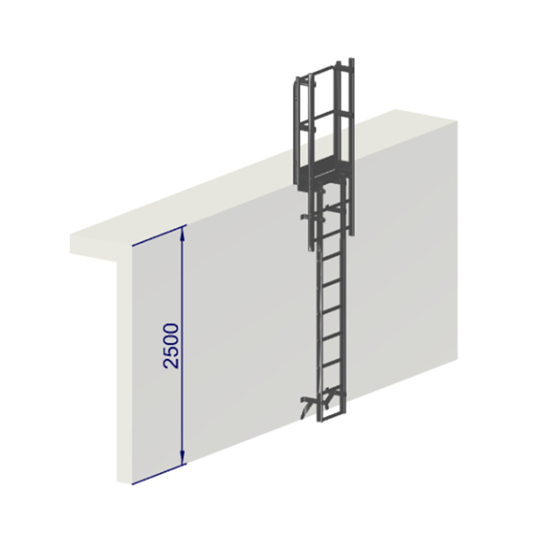 Escalera de proteccion dorsal - Crinolina altura 2500 sin aros de proteccion