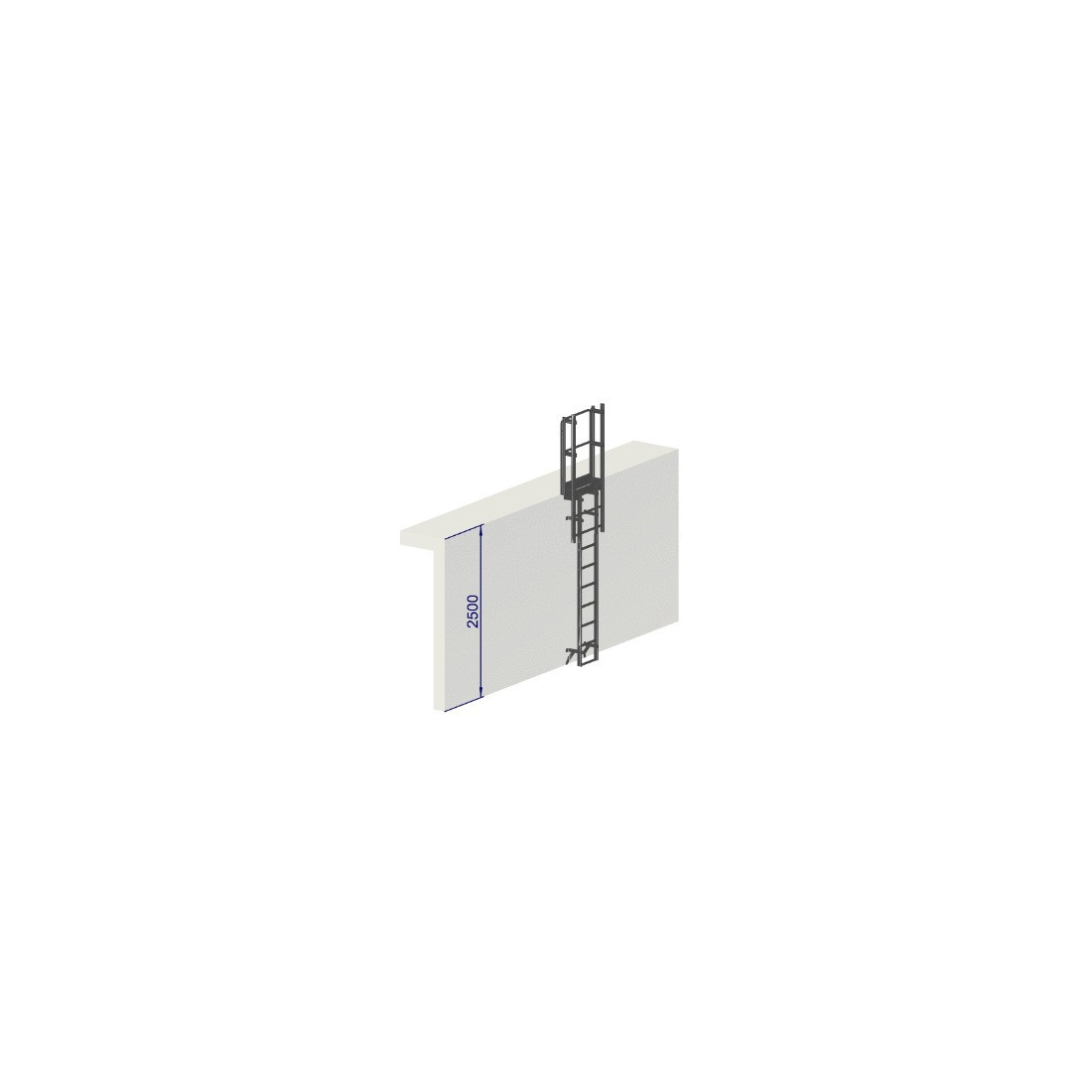 Escalera de protección dorsal - Crinolina altura 2500 mm sin aros de protección EN ISO 14122-4
