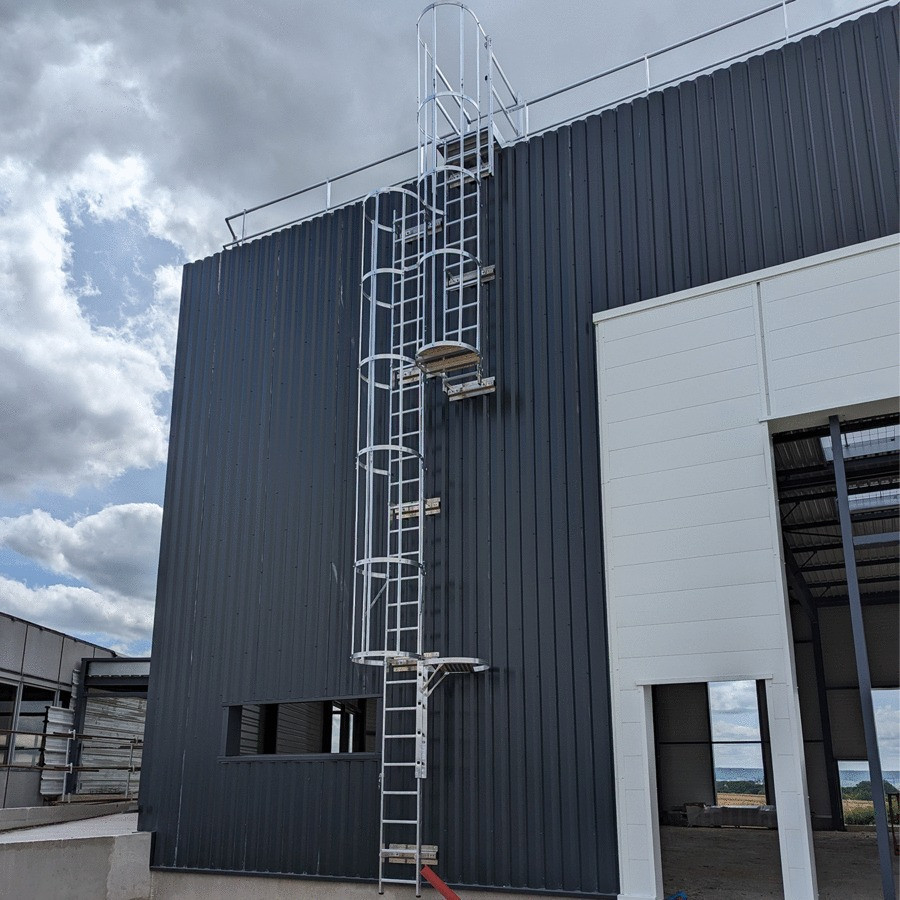 Suministro e instalación de escalera de protección dorsal a medida Fixup
