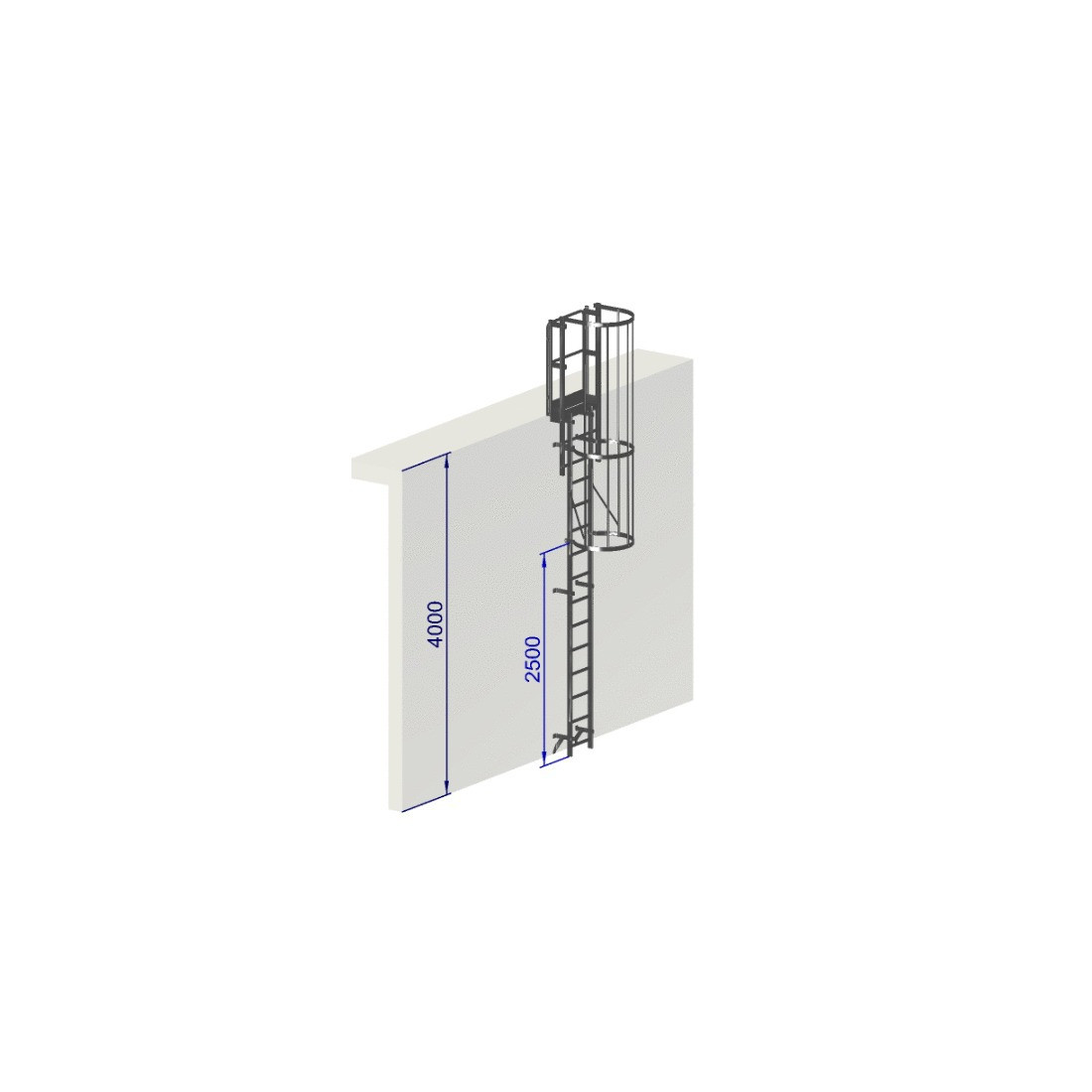 Escalera de protección dosal - crinolina  ALT4000