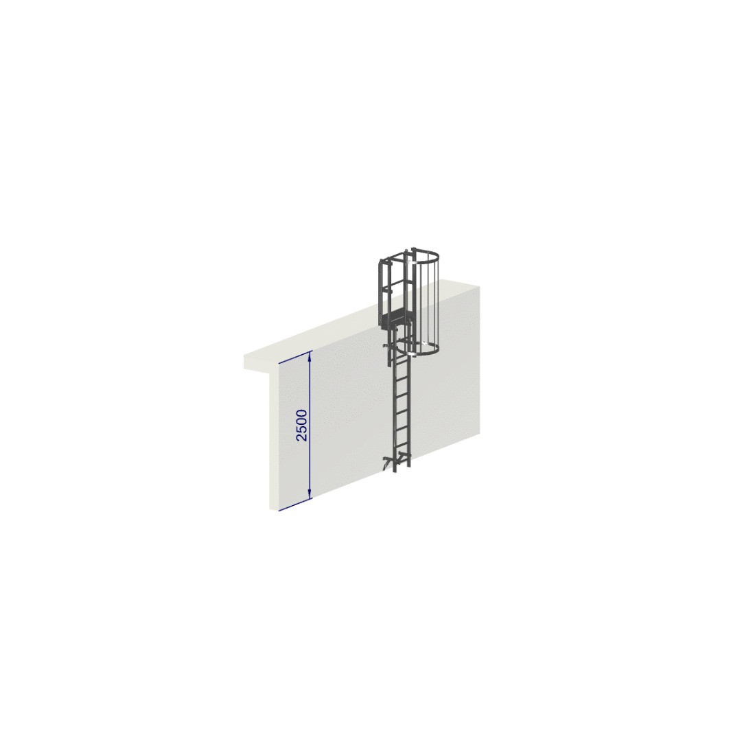 Escalera de proteccion dorsal altura 2500 - Crinolina con aros de proteccion
