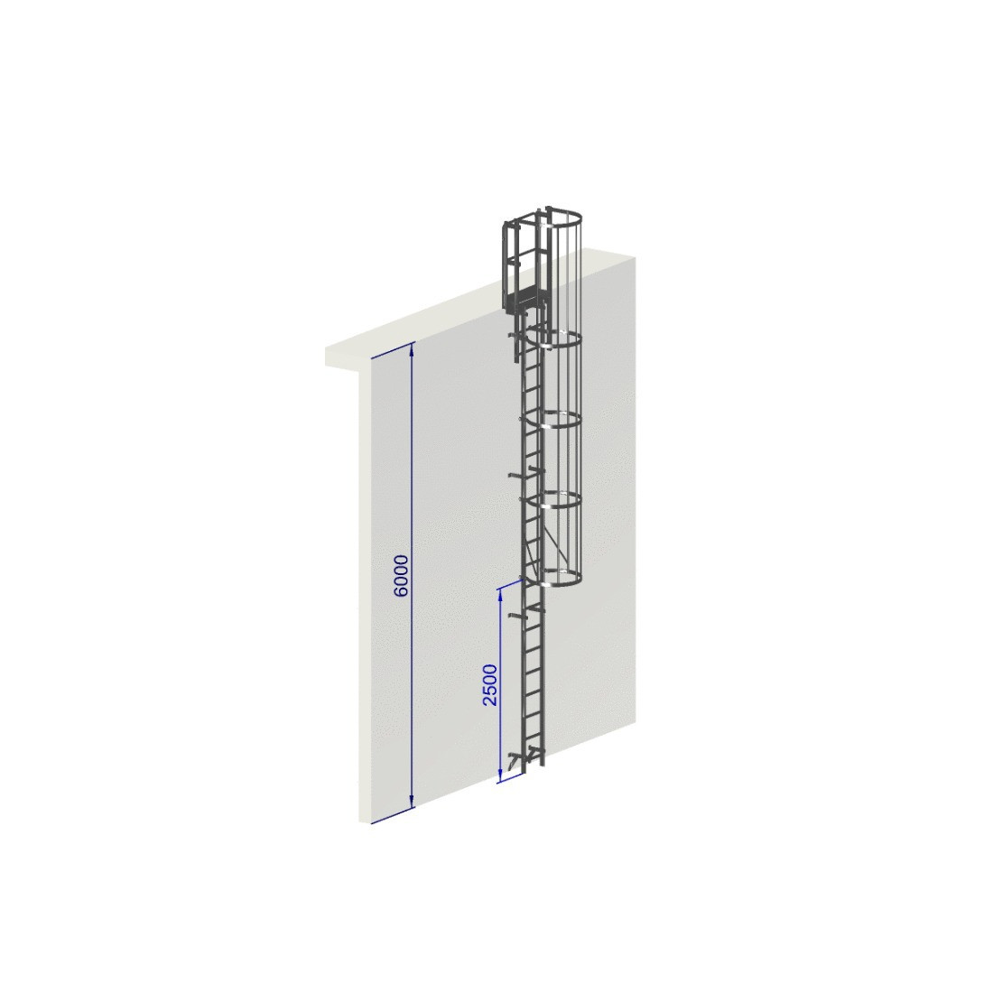 Escalera de protección dorsal - Crinolina ALT 6000