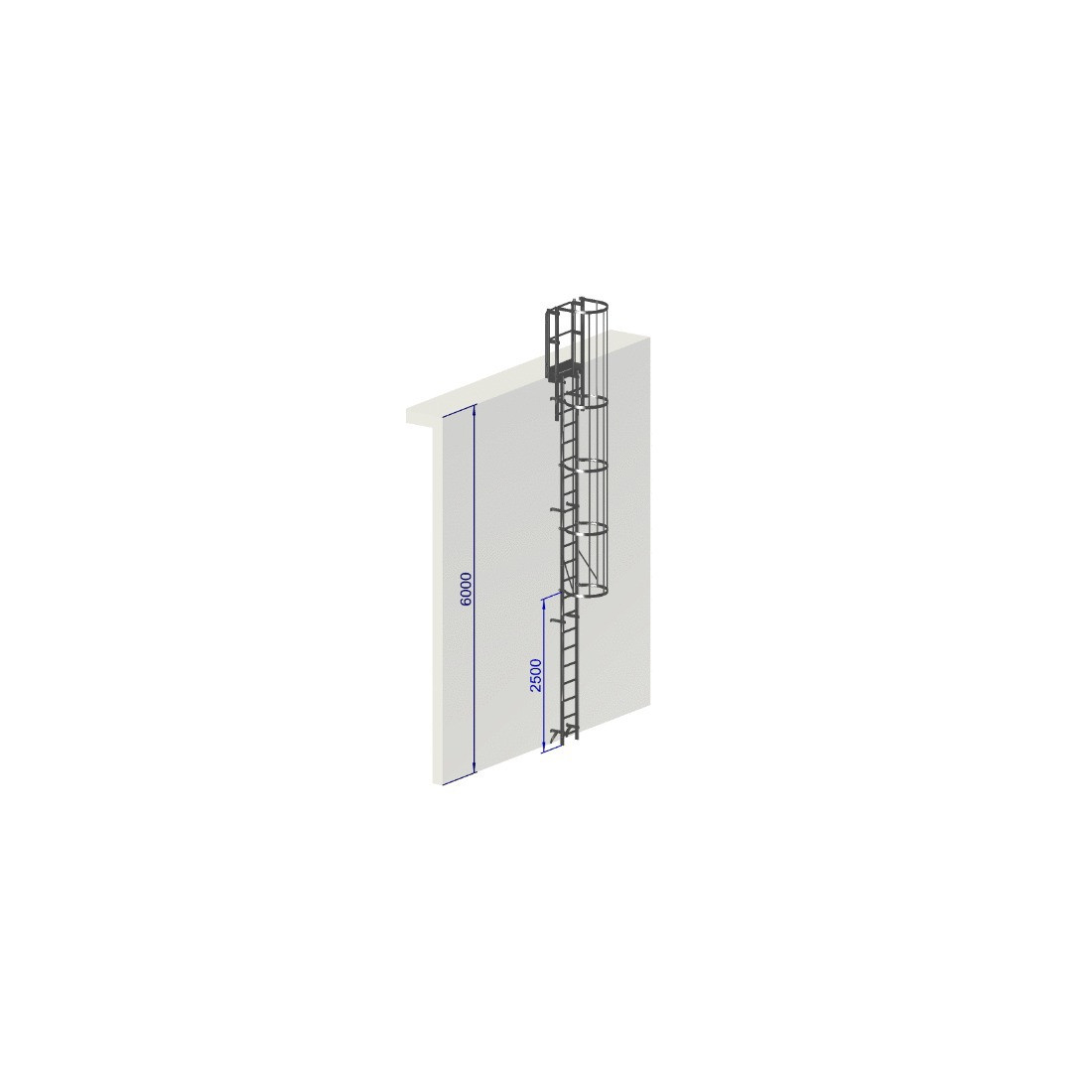 Escalera de protección dorsal - Crinolina altura 6000 mm EN ISO 14122-4